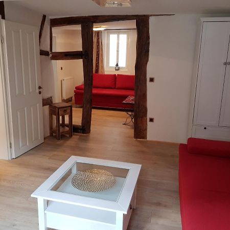 Zauberhafte Wohnung In Der Naehe Von Heidelberg, Top Lage 希尔施霍恩 外观 照片