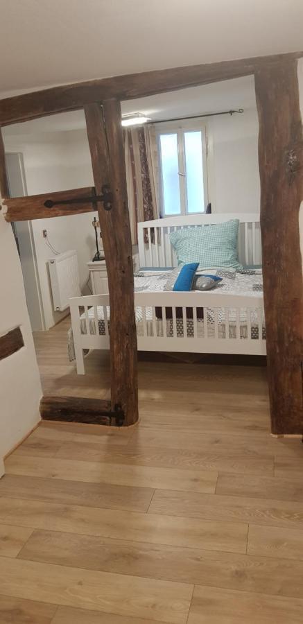 Zauberhafte Wohnung In Der Naehe Von Heidelberg, Top Lage 希尔施霍恩 外观 照片
