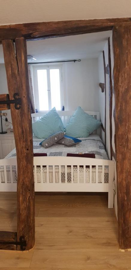 Zauberhafte Wohnung In Der Naehe Von Heidelberg, Top Lage 希尔施霍恩 外观 照片