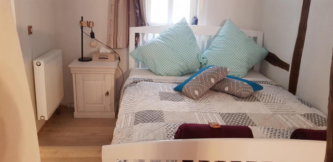 Zauberhafte Wohnung In Der Naehe Von Heidelberg, Top Lage 希尔施霍恩 外观 照片