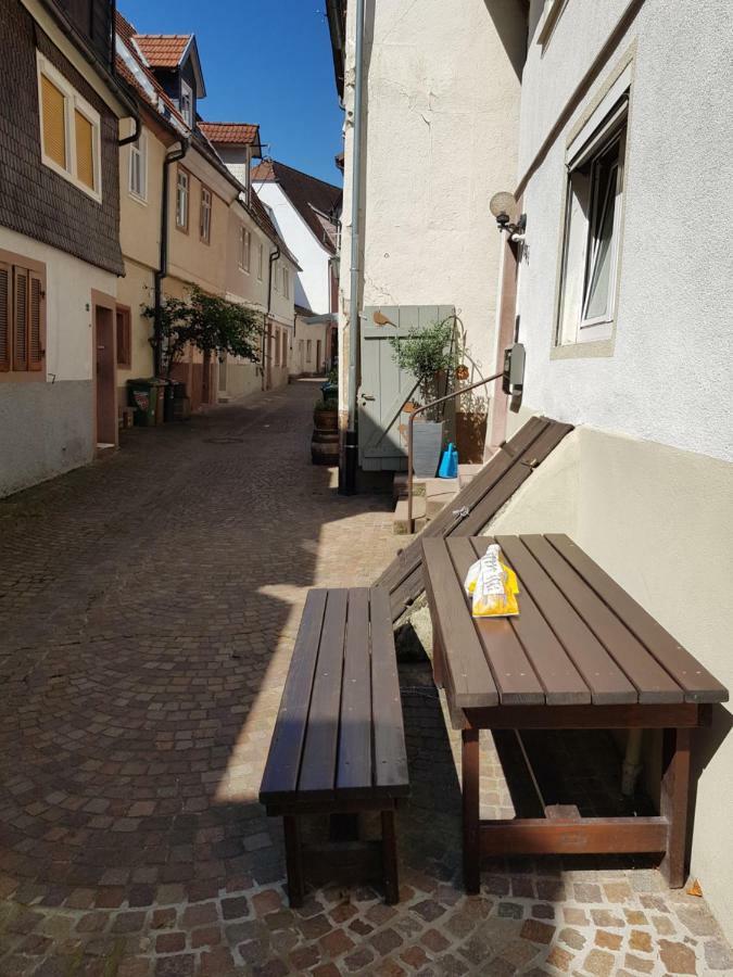 Zauberhafte Wohnung In Der Naehe Von Heidelberg, Top Lage 希尔施霍恩 外观 照片