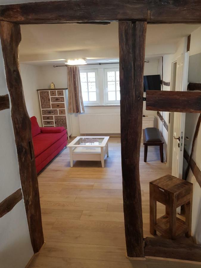 Zauberhafte Wohnung In Der Naehe Von Heidelberg, Top Lage 希尔施霍恩 外观 照片