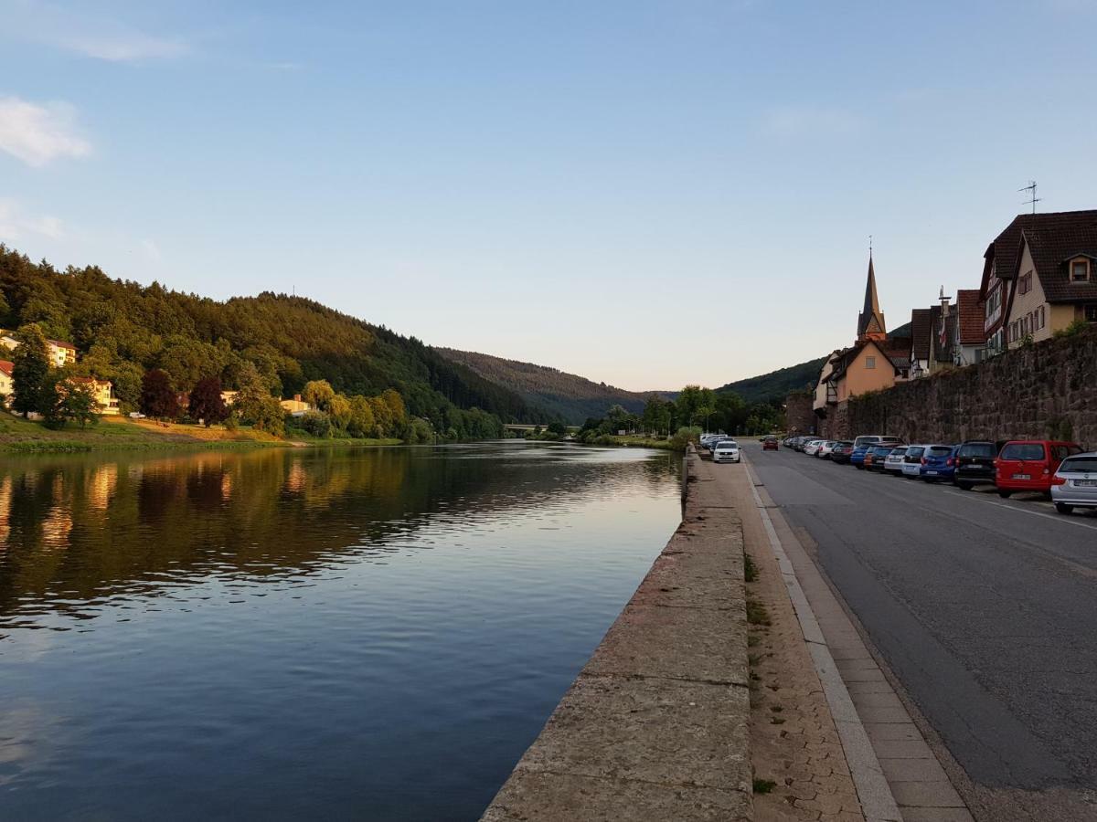 Zauberhafte Wohnung In Der Naehe Von Heidelberg, Top Lage 希尔施霍恩 外观 照片