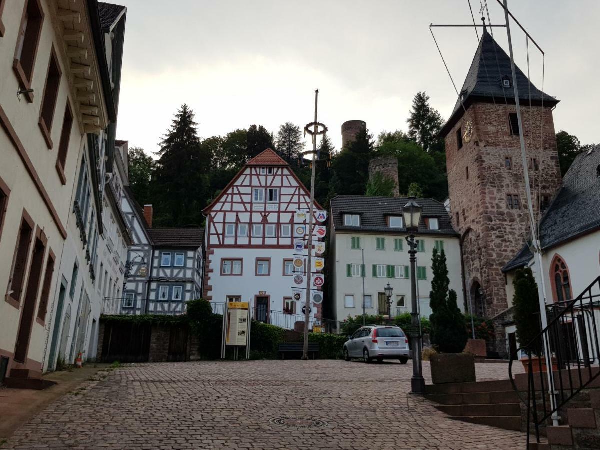 Zauberhafte Wohnung In Der Naehe Von Heidelberg, Top Lage 希尔施霍恩 外观 照片