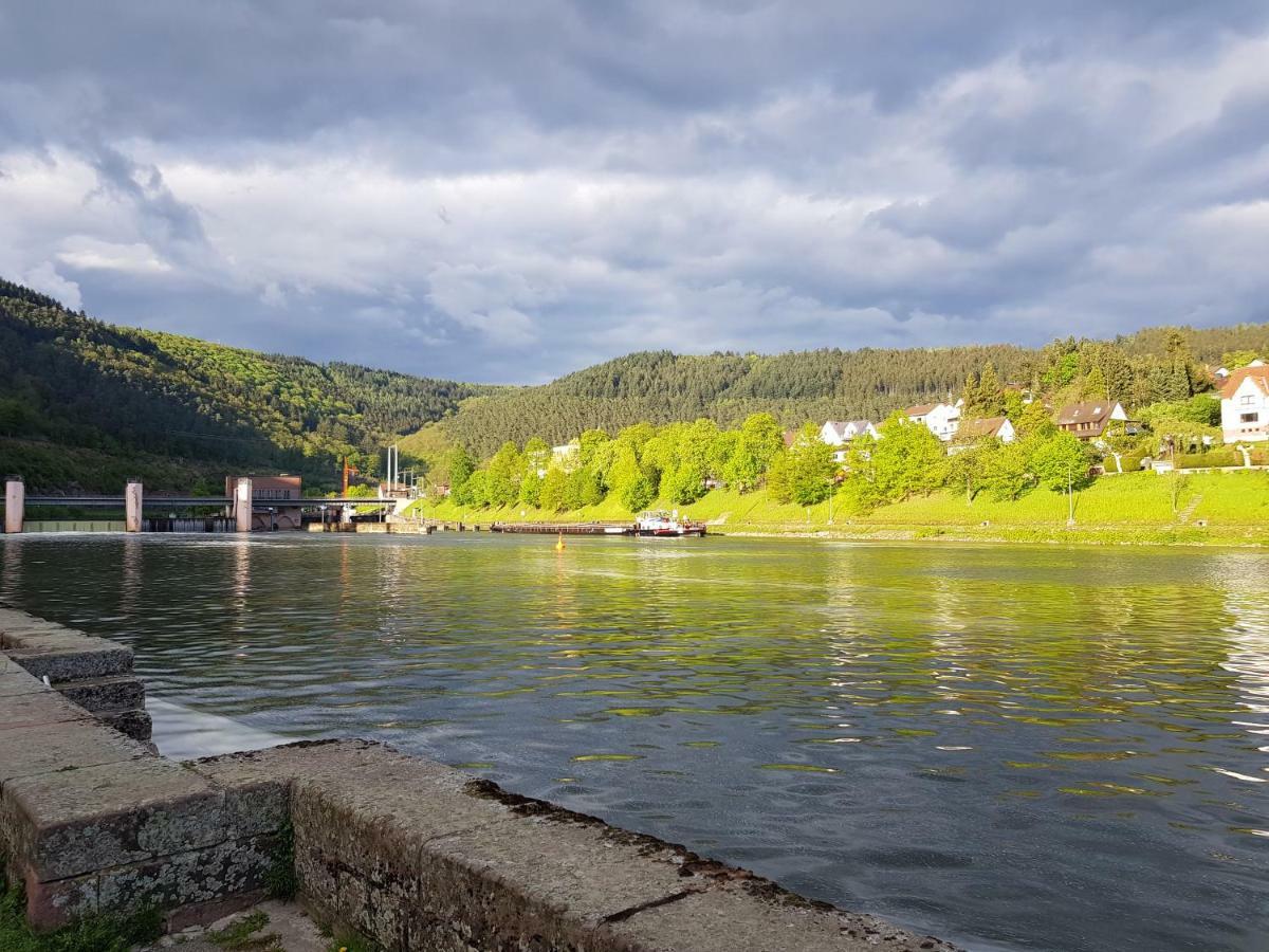 Zauberhafte Wohnung In Der Naehe Von Heidelberg, Top Lage 希尔施霍恩 外观 照片