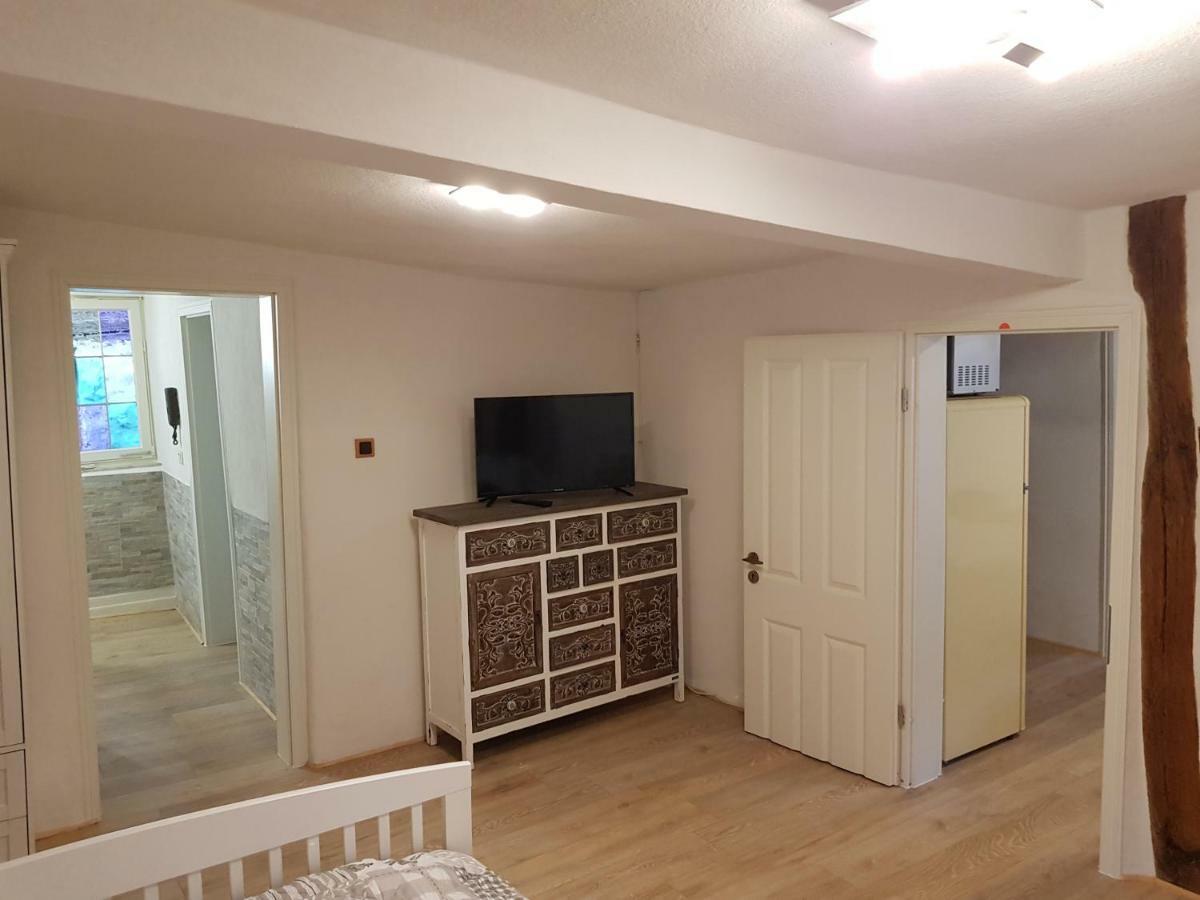 Zauberhafte Wohnung In Der Naehe Von Heidelberg, Top Lage 希尔施霍恩 外观 照片