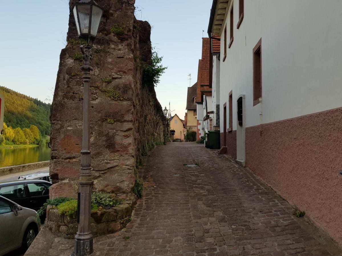 Zauberhafte Wohnung In Der Naehe Von Heidelberg, Top Lage 希尔施霍恩 外观 照片