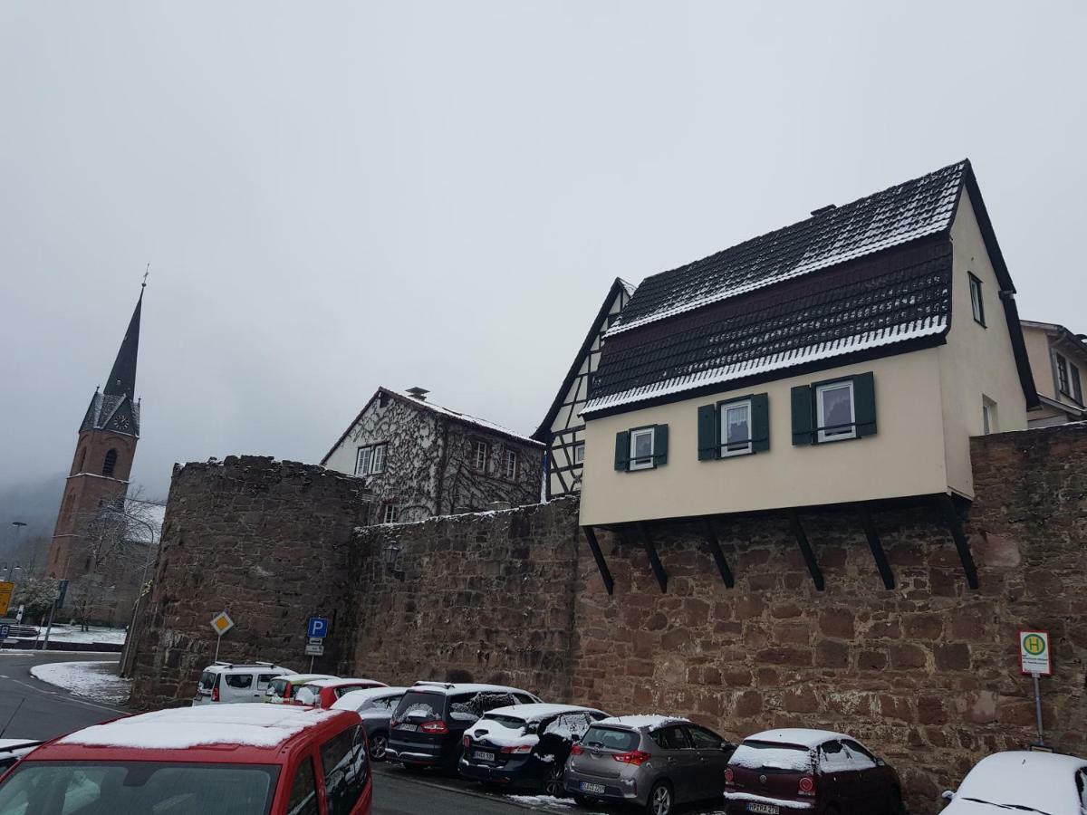 Zauberhafte Wohnung In Der Naehe Von Heidelberg, Top Lage 希尔施霍恩 外观 照片