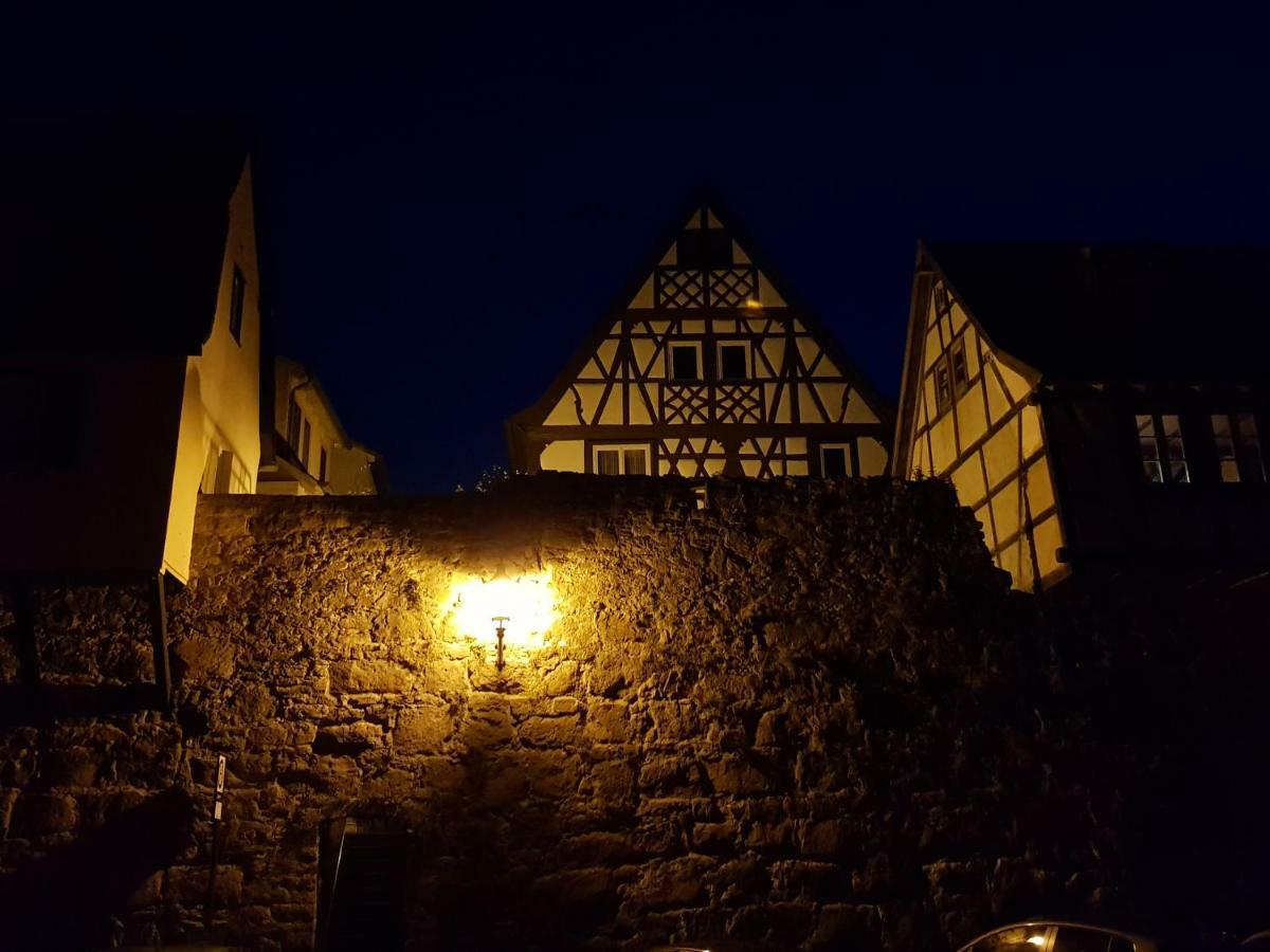 Zauberhafte Wohnung In Der Naehe Von Heidelberg, Top Lage 希尔施霍恩 外观 照片