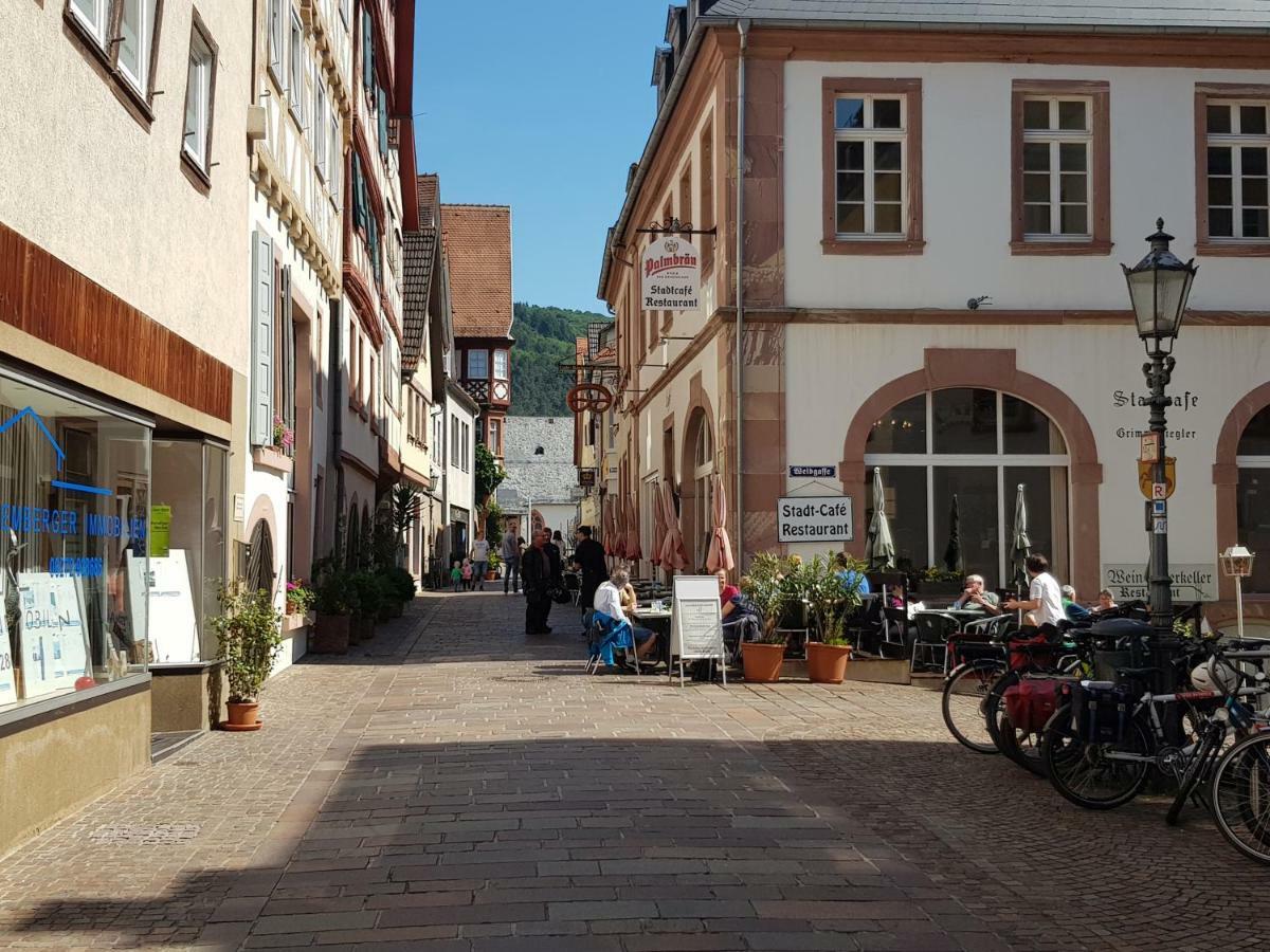 Zauberhafte Wohnung In Der Naehe Von Heidelberg, Top Lage 希尔施霍恩 外观 照片