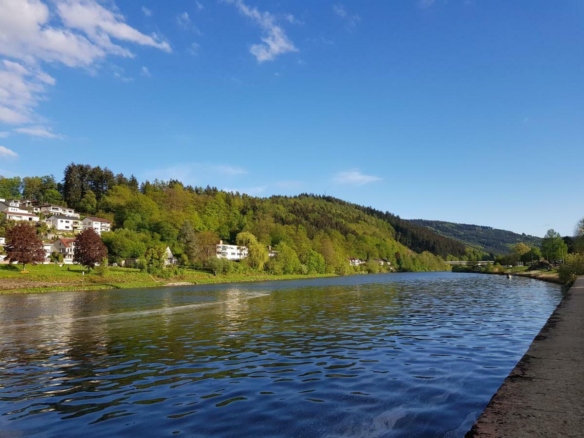 Zauberhafte Wohnung In Der Naehe Von Heidelberg, Top Lage 希尔施霍恩 外观 照片