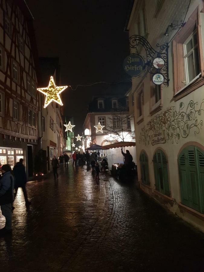Zauberhafte Wohnung In Der Naehe Von Heidelberg, Top Lage 希尔施霍恩 外观 照片