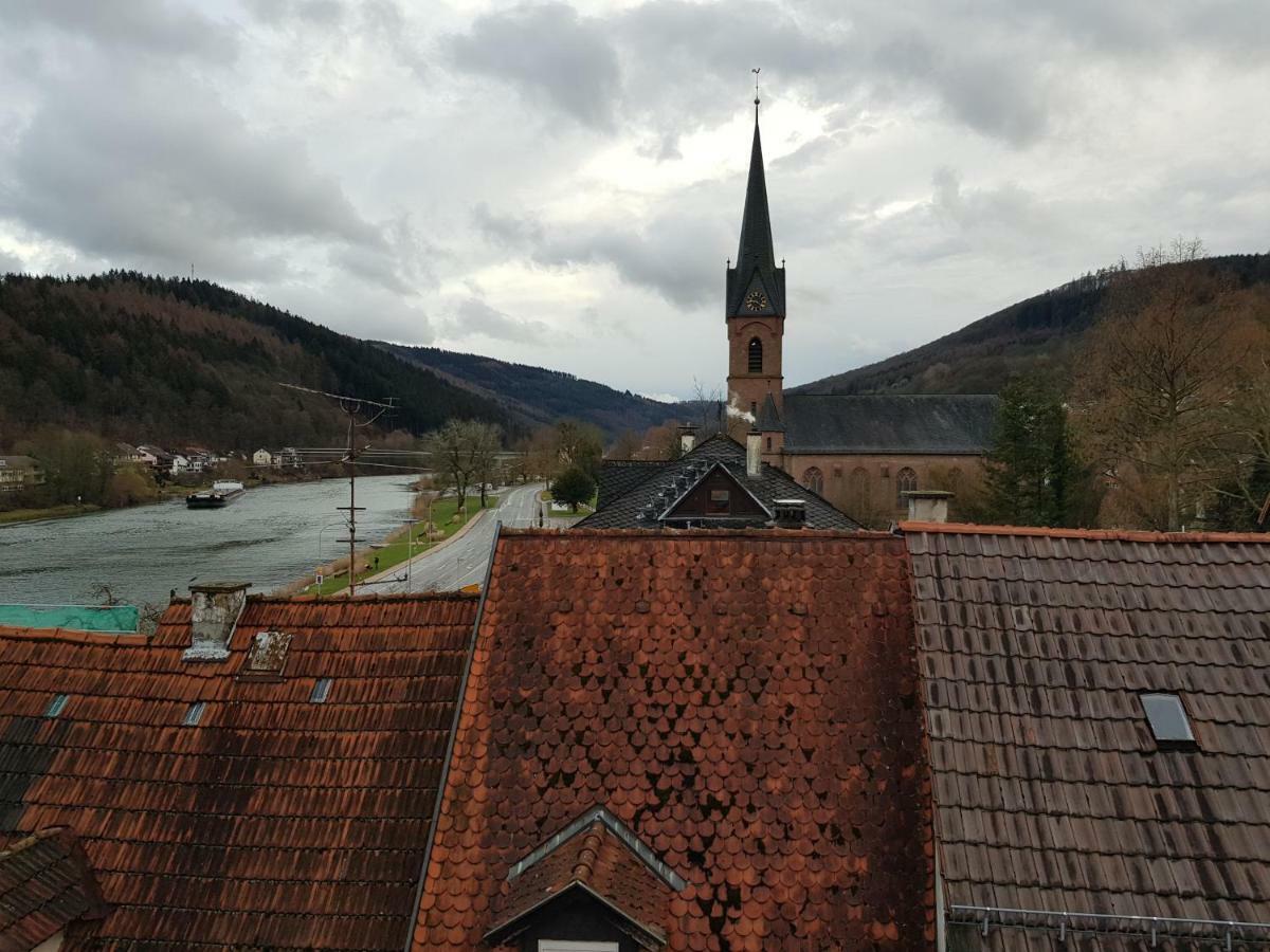 Zauberhafte Wohnung In Der Naehe Von Heidelberg, Top Lage 希尔施霍恩 外观 照片