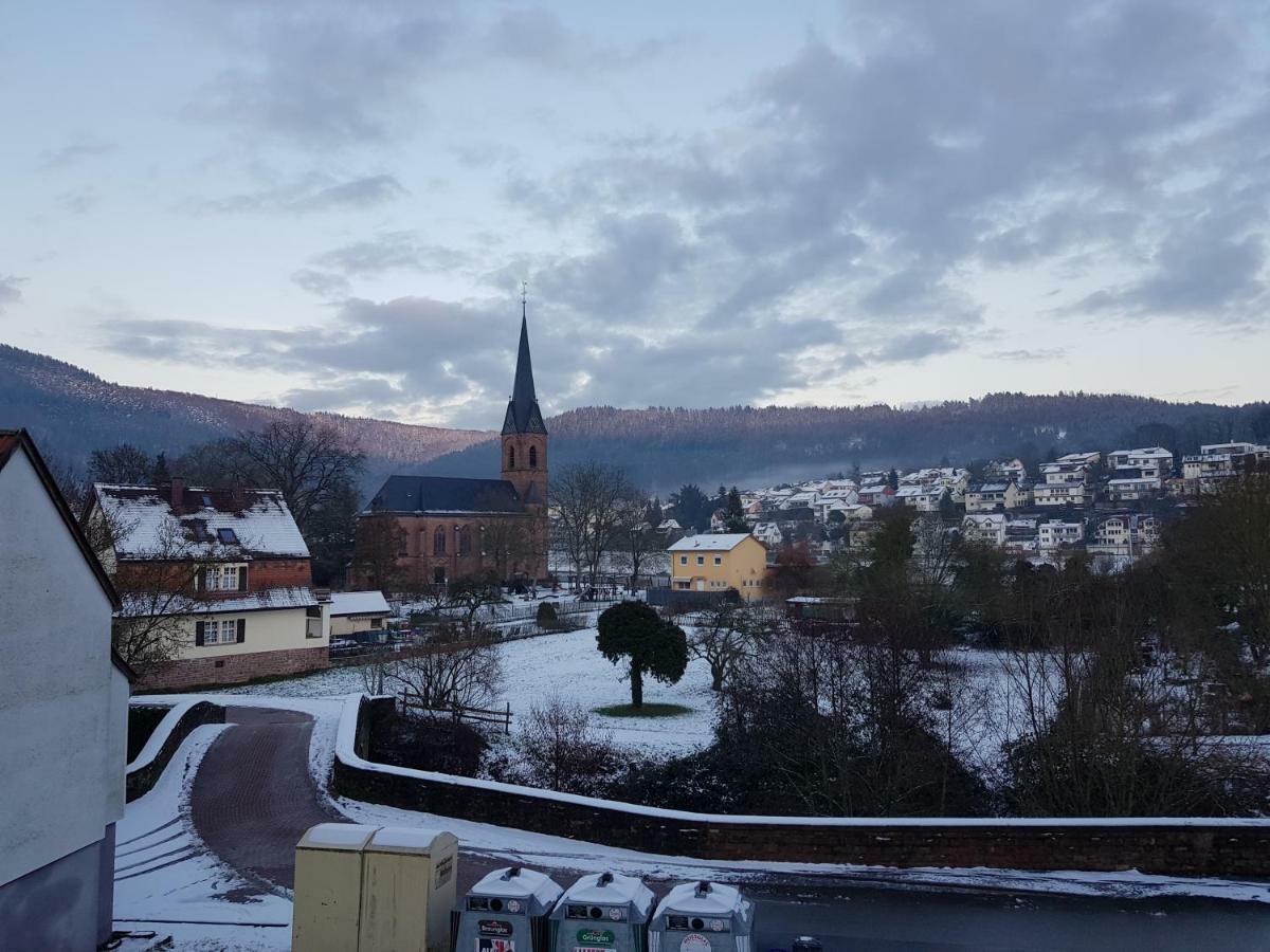 Zauberhafte Wohnung In Der Naehe Von Heidelberg, Top Lage 希尔施霍恩 外观 照片