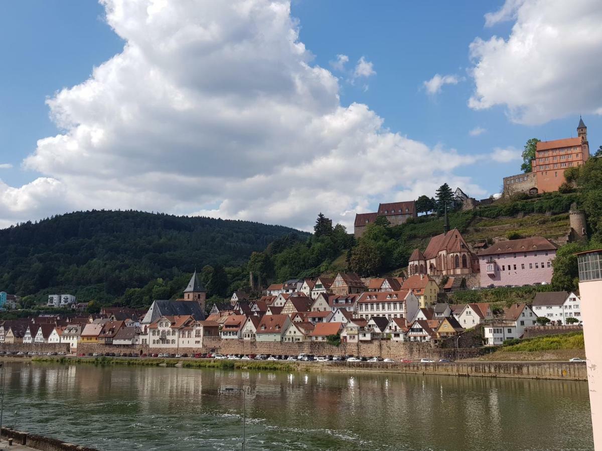 Zauberhafte Wohnung In Der Naehe Von Heidelberg, Top Lage 希尔施霍恩 外观 照片
