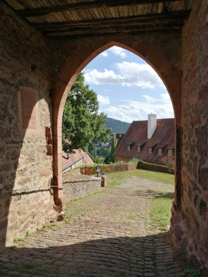 Zauberhafte Wohnung In Der Naehe Von Heidelberg, Top Lage 希尔施霍恩 外观 照片