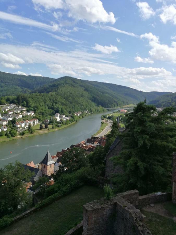 Zauberhafte Wohnung In Der Naehe Von Heidelberg, Top Lage 希尔施霍恩 外观 照片