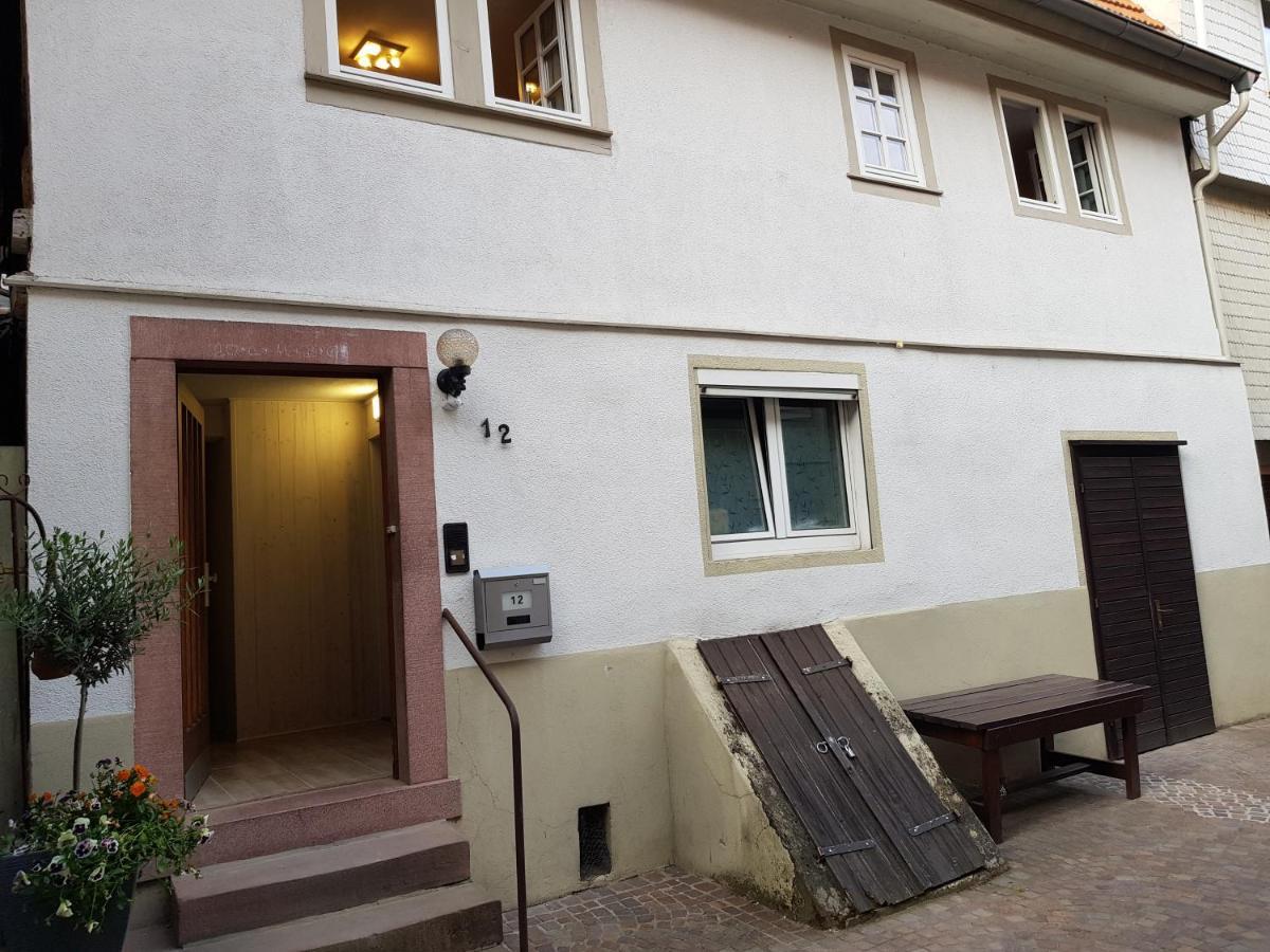 Zauberhafte Wohnung In Der Naehe Von Heidelberg, Top Lage 希尔施霍恩 外观 照片