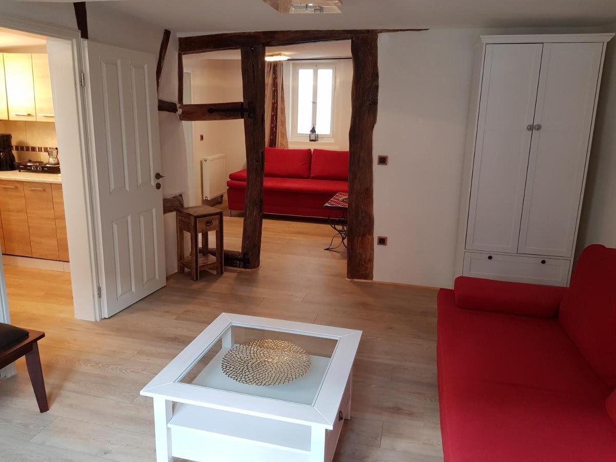 Zauberhafte Wohnung In Der Naehe Von Heidelberg, Top Lage 希尔施霍恩 外观 照片
