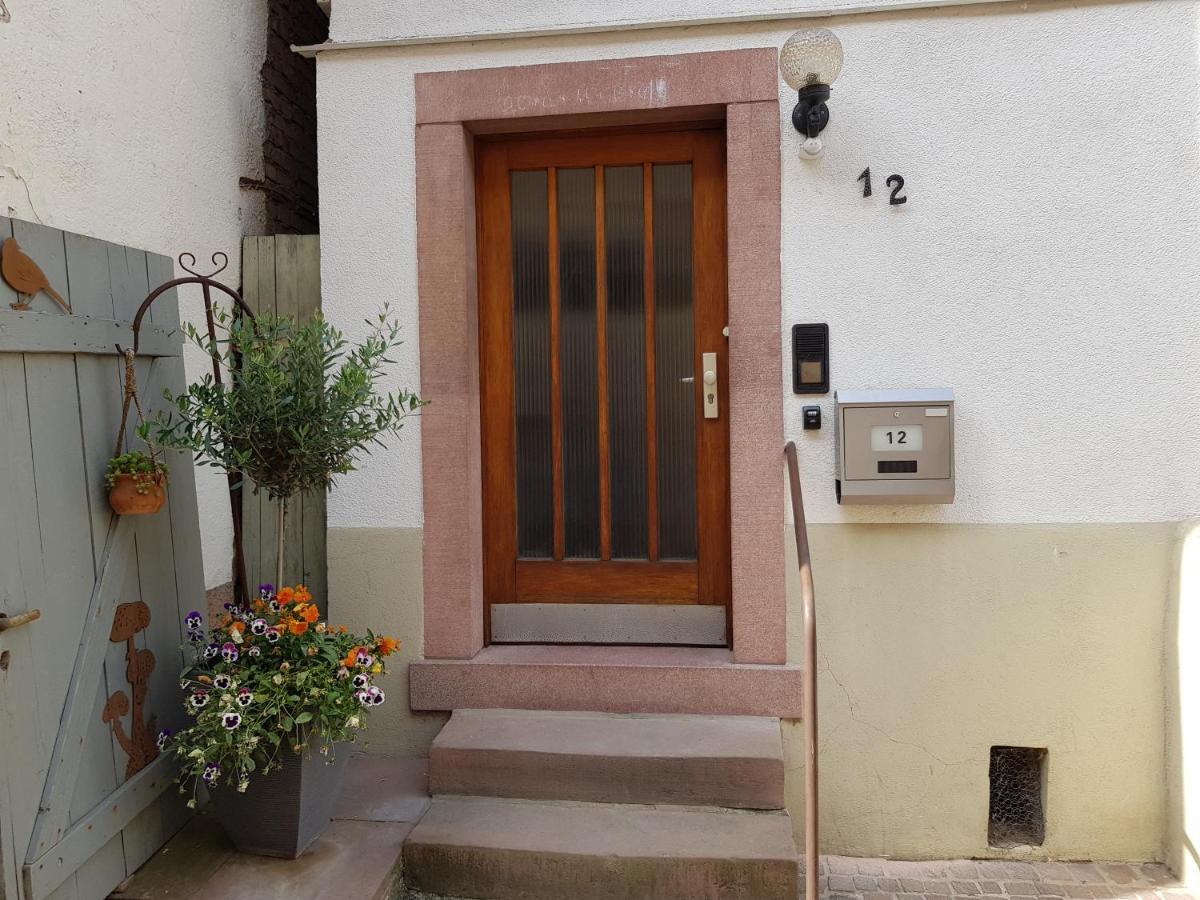 Zauberhafte Wohnung In Der Naehe Von Heidelberg, Top Lage 希尔施霍恩 外观 照片